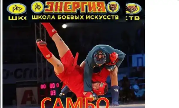 Школа боевых искусств 