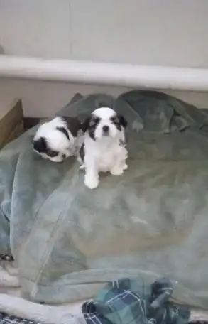 Замечательный подарок своим Любимым к 8 марта!!!!, фотография 1