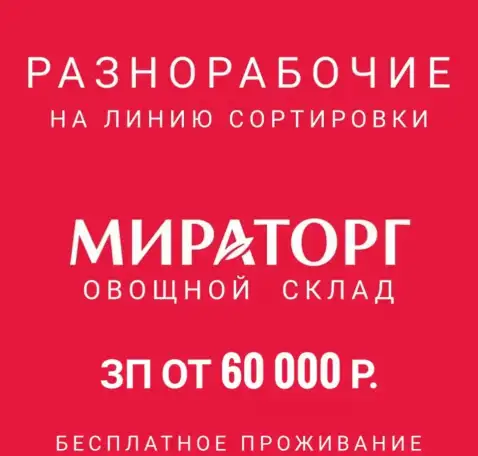 Рабочие на сортировку овощей, фотография 1