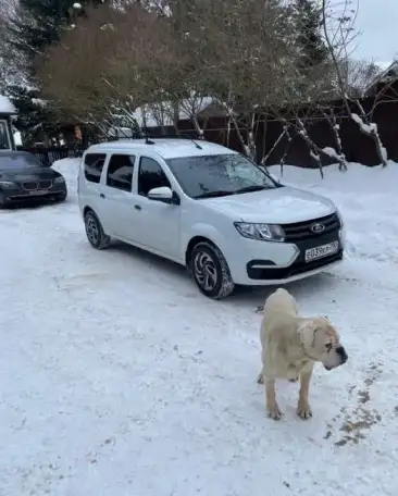 Продаю LADA (ВАЗ) Largus I Рестайлинг 2021г. 999000руб., фотография 3