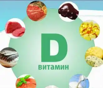 Зообак, фотография 1