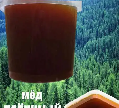 Мёд 