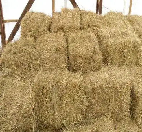 Сено и Солома в тюках, фотография 1