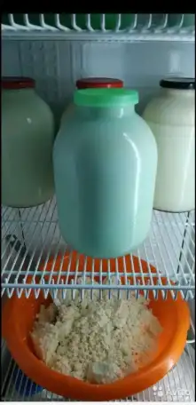 Домашняя молочная продукция, фотография 2