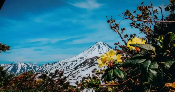 Тур Неизвестная Камчатка 8 дней, без рюкзака, все включено, фотография 1