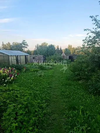 Дом 35.9 м2 на участке 26 сот., фотография 6