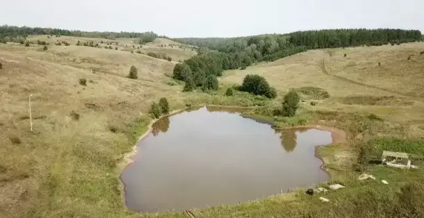 Земля с прудом в с. Еремеево, 2 Га в собственности, фотография 2
