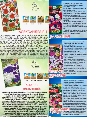 Петуния, фотография 4