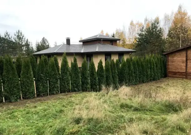 Уход за садом, благоустройство, фотография 11