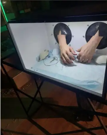 Игра Кажется нащупал фанбокс, трешбокс и Угадай напиток, фотография 3