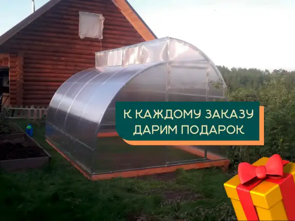 Теплица, фотография 3