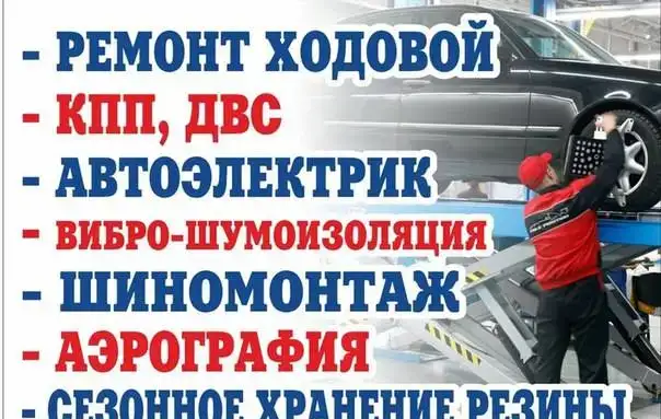 АКЦИЯ В ПОМОЩЬ БЕЗДОМНЫМ ЖИВОТНЫМ!, фотография 2