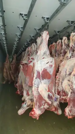 Мясо говядина на кости,быки,коровы,свинина,свиноматки., фотография 4