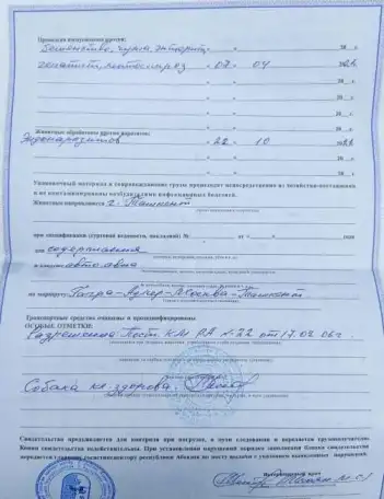 аргентинский дог, фотография 5