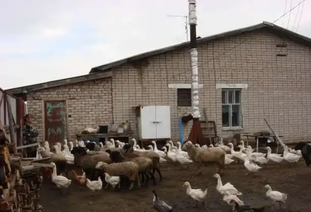 Ферма с с/х землёй на границе Татарстана в Кировской обл. Вятские Поляны, фотография 5