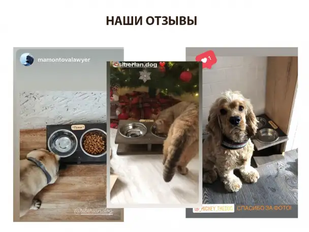 Подставка с 2 мисками 15 см, 450 мл, фотография 6