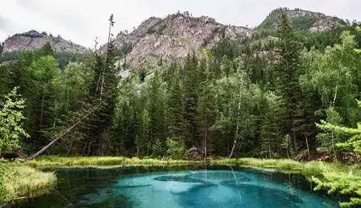 Туры на Алтай, фотография 1