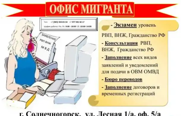 Подготовка и подача документов на РВП  ВНЖ  Гражданство, фотография 1