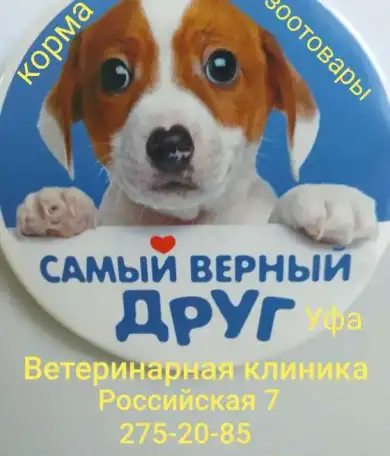 Ветеринарная клиника 