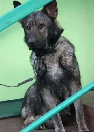 зонар ВЕО, фотография 3