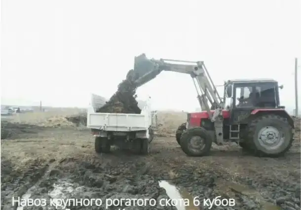 Навоз крупного рогатого скота 6 кубов, фотография 1