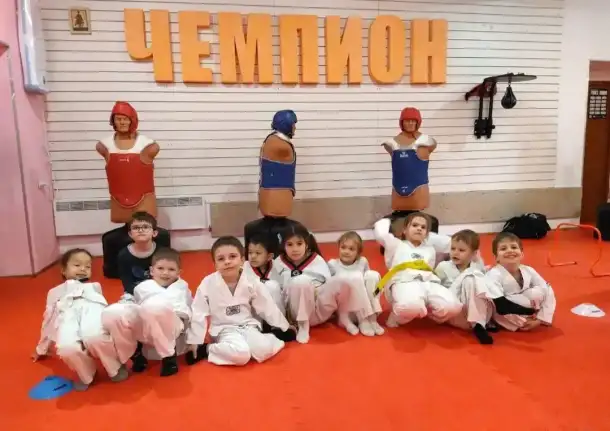 Секция тхэквондо ВТФ (СК Чемпион), фотография 1