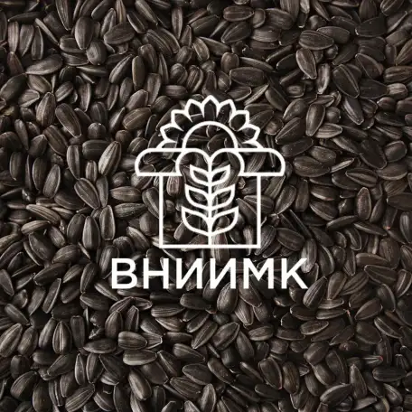 Семена подсолнечника ВНИИМК гибрид Грант, фотография 1