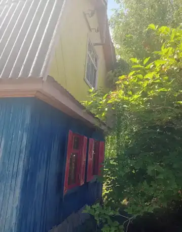 сады 