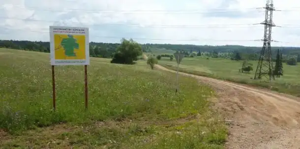 Земля 100 км. от г. Уфы в районе п. Павловка 1176 га, фотография 4