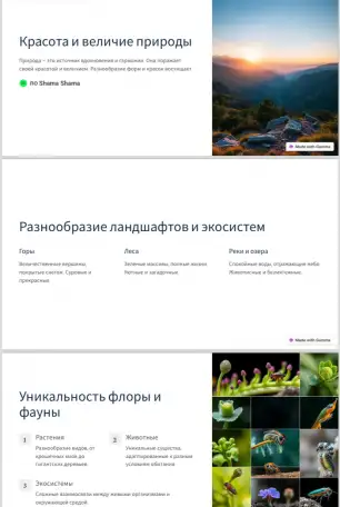 Призентации, фотография 1