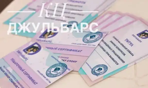 Дрессировка собак, фотография 1