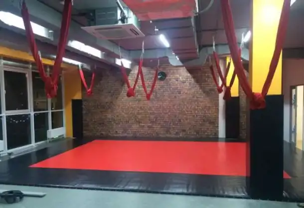Борцовский ковер, стеновые протекторы, маты..., фотография 8