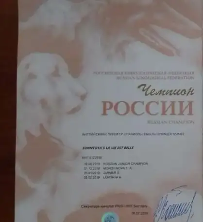 Продаются щенки Английского спрингер спаниеля, фотография 10