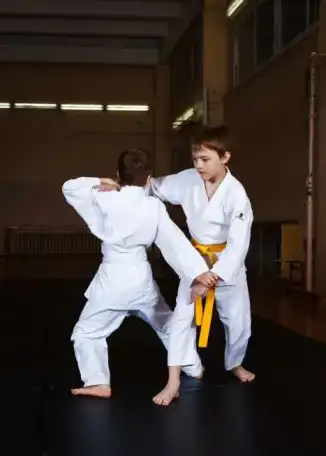 Айкидо для мальчиков 8-12 лет. Юго-Запад ВИЗ Центр., фотография 9