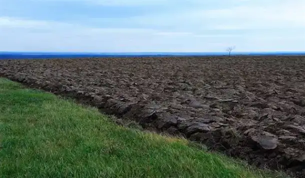 Хозяйство 1600 Га, фотография 1