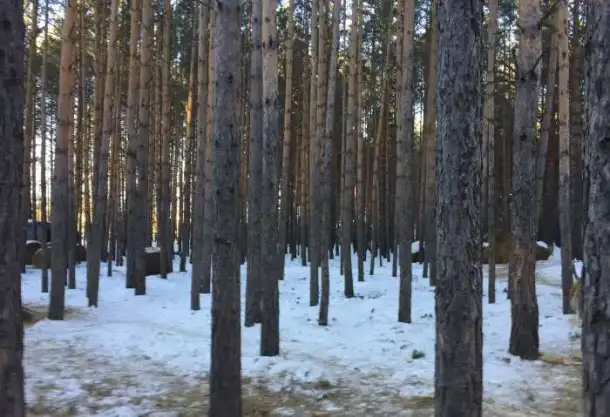 Продам конюшню, фотография 2