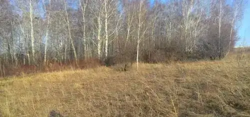 Продам участок в районе д. Кузнецово. Лес, озеро, фотография 2
