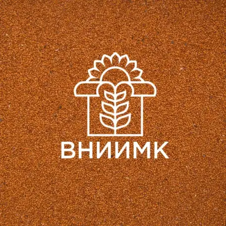 Семена ярового рыжика ВНИИМК сорт Кристалл, фотография 1