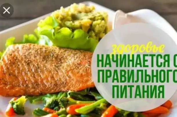 Программа питания, фотография 1