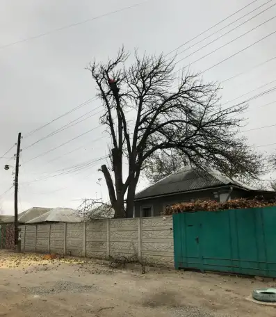 Спил деревьев, расчистка участка, покос травы по всему ЛНР, фотография 5