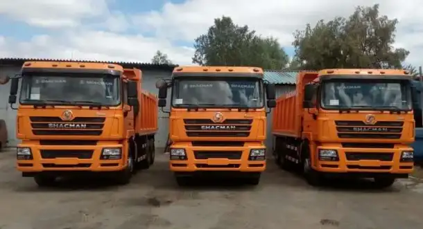Продам Самосвал SHACMAN SX3316DT366 8x4 кабина f3000, фотография 3