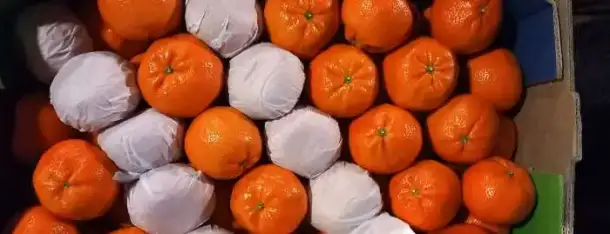 Овощи фрукты, фотография 4