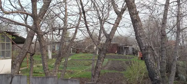 Сад в черте города., СНТ Хлебосад ул.Садовая 9, фотография 1