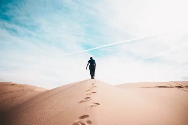 Ищу партнера для открытия онлайн школы, фотография 1