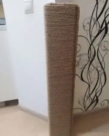Когтеточка угловая, фотография 4