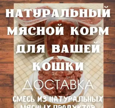 Натуральный мясной корм для кошек, фотография 1