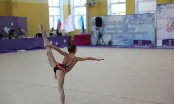 Детско-юношеская спортивная школа 