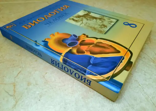 Биология. Человек. 8 класс, Драгомилов, 1997 год, фотография 2