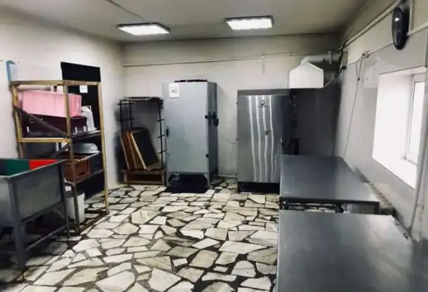 Производство полуфабрикатов из мяса оленя и цех копчения рыбы, фотография 3