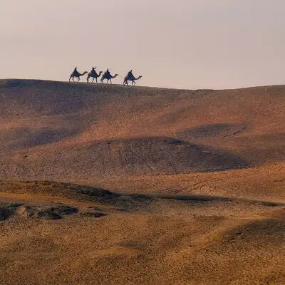 Туры в незабываемый Египет, фотография 3